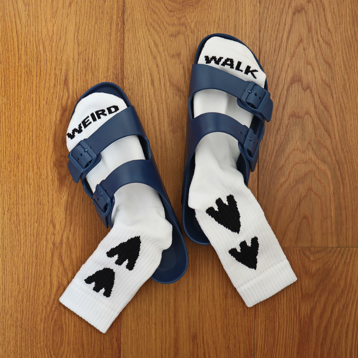WEIRD WALK socks